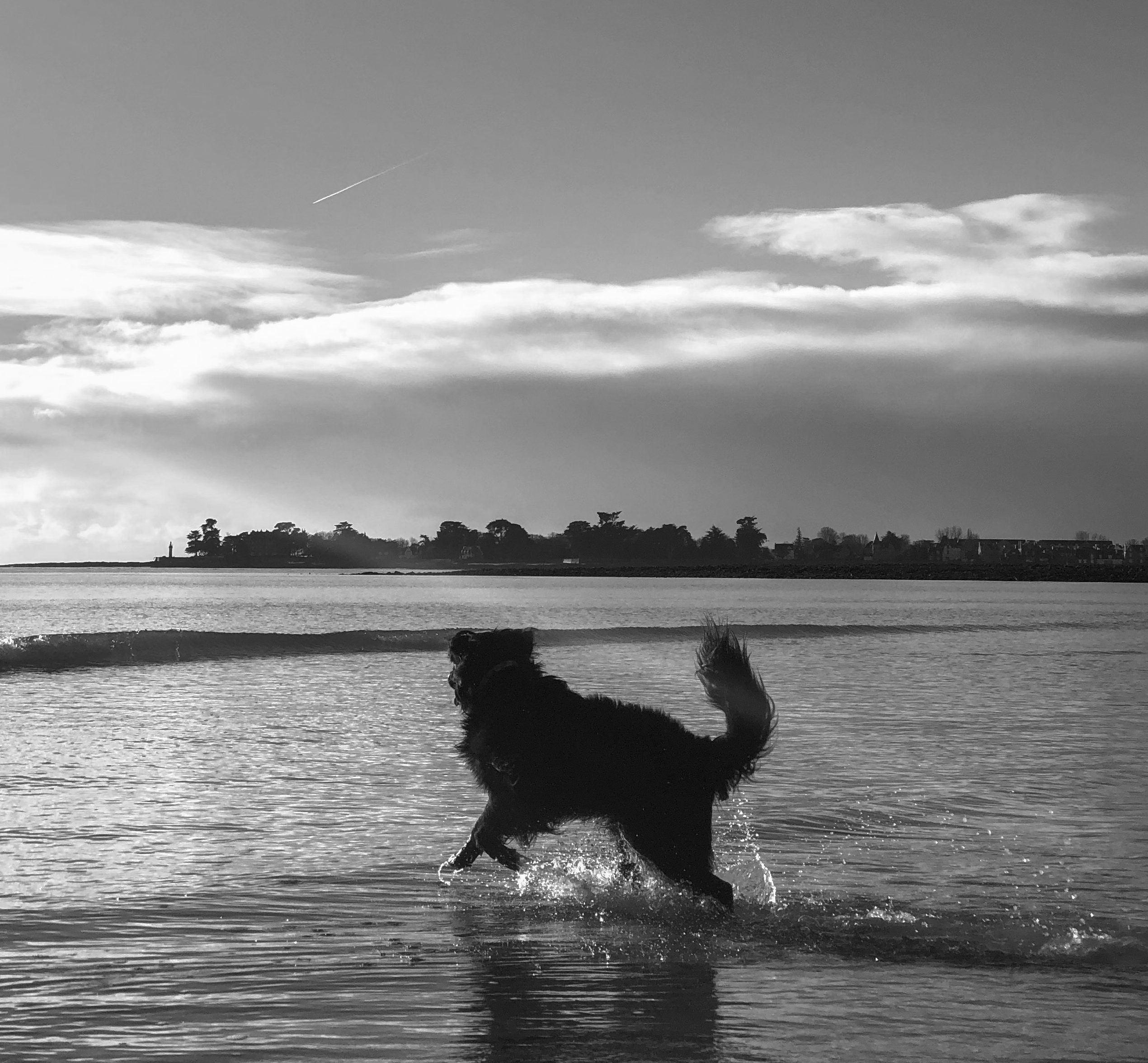 atelier d'édune, fabrication artisanale de planches de surf en bois